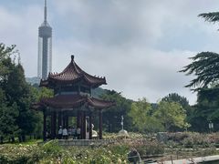 -富斯特索道