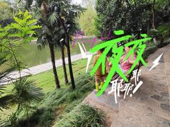 -杨正宗烤全羊(北二环店)
