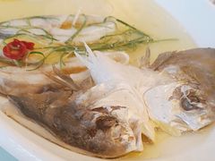 -高老庄新家宴(北斗星广场店)