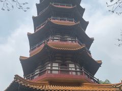 -天下玉苑
