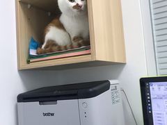 -宠福鑫康馨动物医院·骨科·眼科