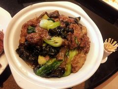菜心面筋煲-新南华大酒店(长寿店)