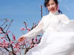 -樂桃源奉贤黄桃种植采摘基地