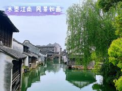 -乌镇西栅景区