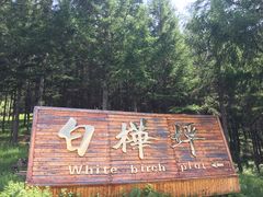 -乌兰布统草原