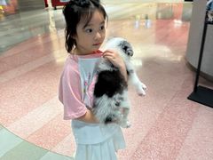 -Oh My Dog宠物沙龙(伊珊娜皮毛护理店)