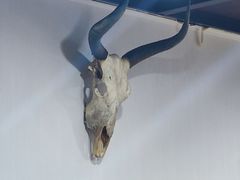 -藏味八珍特色火锅