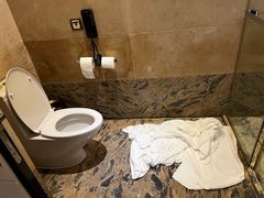 -上海星河湾酒店(闵行店)