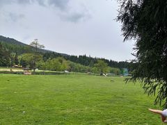 -武陵山森林公园