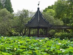-上海醉白池公园