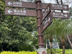 -铁山坪森林公园