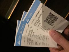 -万达影城(锦华万达广场IMAX店)