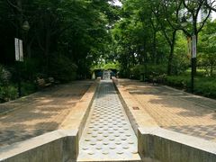 -苏州河梦清园环保主题公园