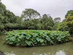 -成都杜甫草堂博物馆