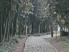 -狼山风景名胜区