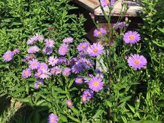 -北京宽沟会议中心