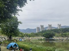 -牛岗山公园