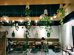 -柴务处·柴犬主题狗咖