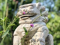 -同里国家湿地公园