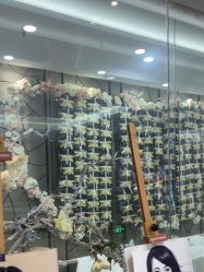 -蓝山医疗美容医院