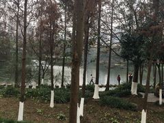 -重庆彩云湖湿地公园