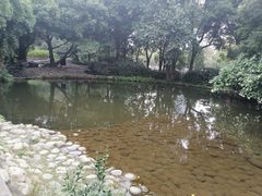 -成都市活水公园