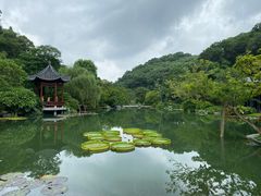 -云溪植物园