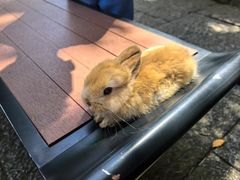 -蒋氏故居