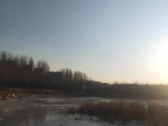 -丁香湖公园