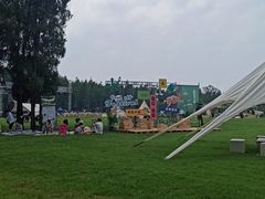 -黄海国家森林公园