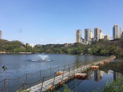 -重庆彩云湖湿地公园
