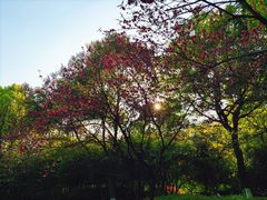 -杭州半山国家森林公园