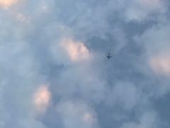 -1点点(康王中路店)