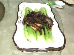 葱烧海参-聚丰德饭店(经五路店)