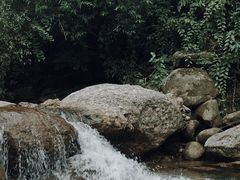 -龙窝子