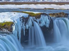 -小杨烤肉(朱雀店)