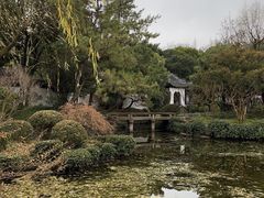 -秋霞圃