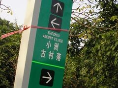 -小洲村