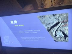 -秦始皇帝陵博物院-丽山园