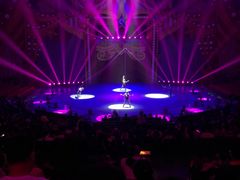 -珠海横琴长隆《卡卡虎奇遇记》