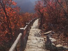 -周口店坡峰岭风景区