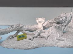 -中国湿地博物馆
