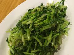 豆苗-ZF Seafood Restaurant 卓峰海鲜餐