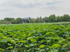 -云龙湖旅游景区