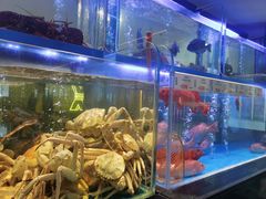 -南海渔村(珠江新城店)