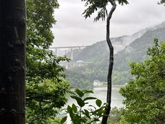 -黔灵山公园