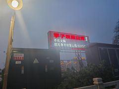 -李子坝梁山鸡(李子坝大鸡哥店)