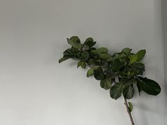 -帕瑞斯女子塑形健身(集美店)