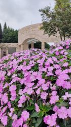 -纷尼探险鸭·亲子户外剧本杀(天河公园店)