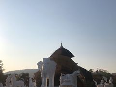 -清迈夜间动物园